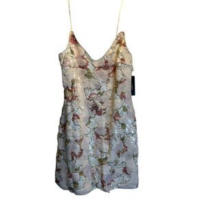 Cream Sequin Floral Lace Mini Shift Dress